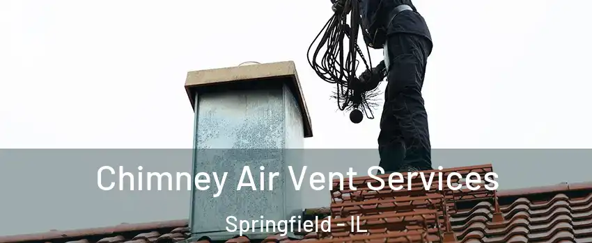  Chimney Air Vent Services Springfield - IL