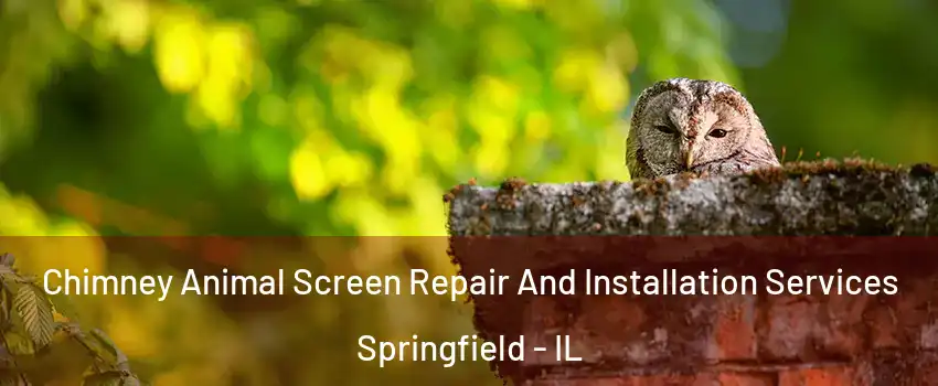  Chimney Animal Screen Repair And Installation Services Springfield - IL