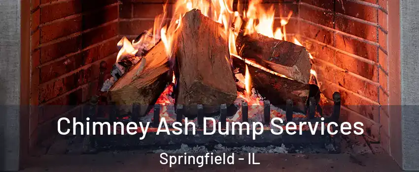  Chimney Ash Dump Services Springfield - IL