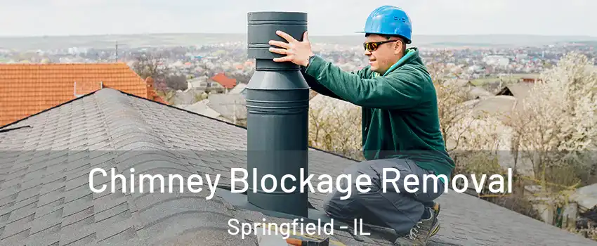  Chimney Blockage Removal Springfield - IL