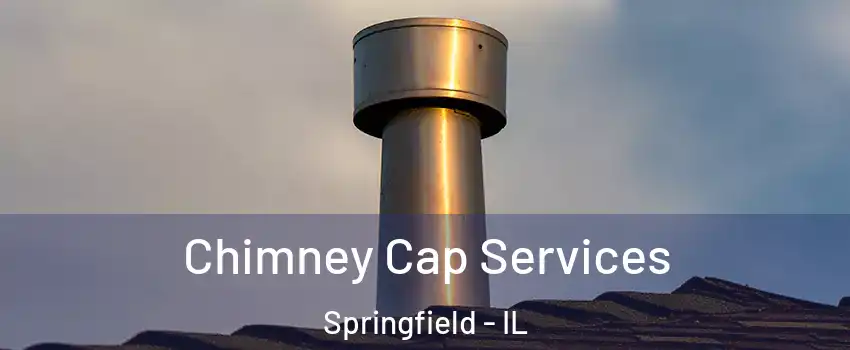  Chimney Cap Services Springfield - IL