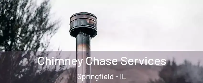  Chimney Chase Services Springfield - IL