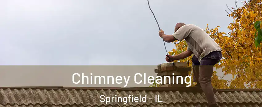  Chimney Cleaning Springfield - IL