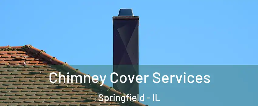  Chimney Cover Services Springfield - IL