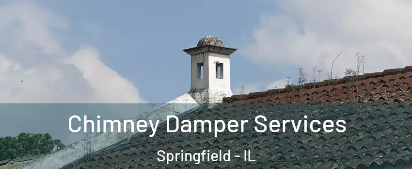  Chimney Damper Services Springfield - IL