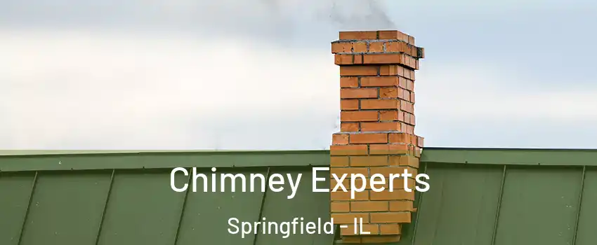 Chimney Experts Springfield - IL