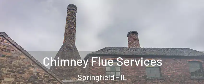  Chimney Flue Services Springfield - IL