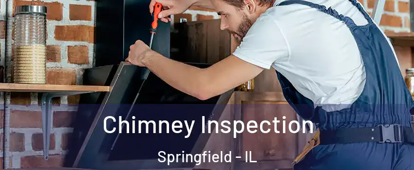  Chimney Inspection Springfield - IL
