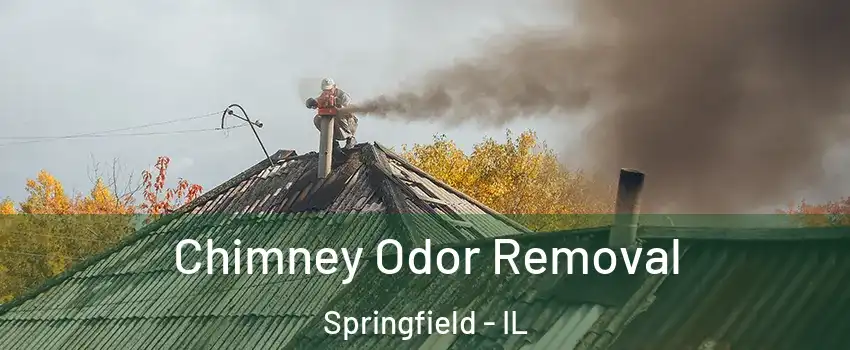  Chimney Odor Removal Springfield - IL