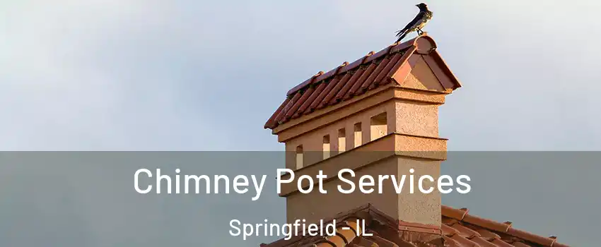  Chimney Pot Services Springfield - IL