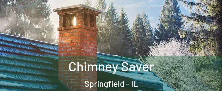  Chimney Saver Springfield - IL