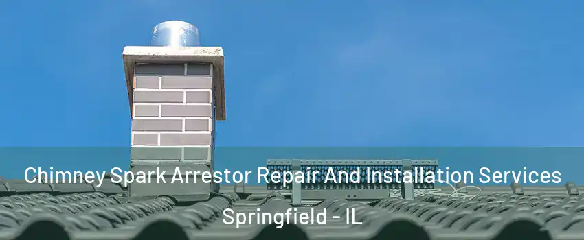  Chimney Spark Arrestor Repair And Installation Services Springfield - IL