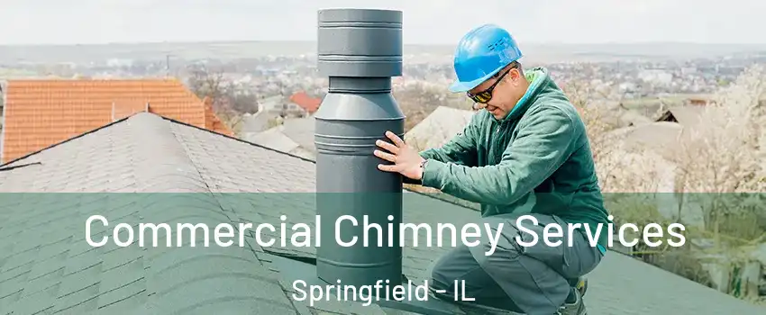  Commercial Chimney Services Springfield - IL