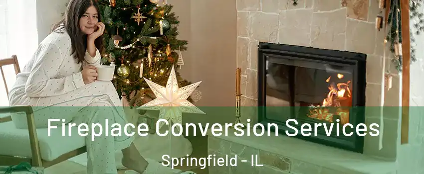  Fireplace Conversion Services Springfield - IL