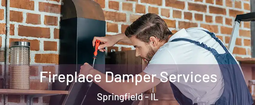  Fireplace Damper Services Springfield - IL