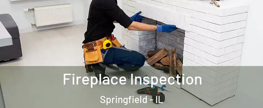  Fireplace Inspection Springfield - IL