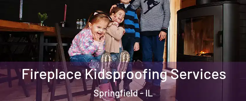  Fireplace Kidsproofing Services Springfield - IL