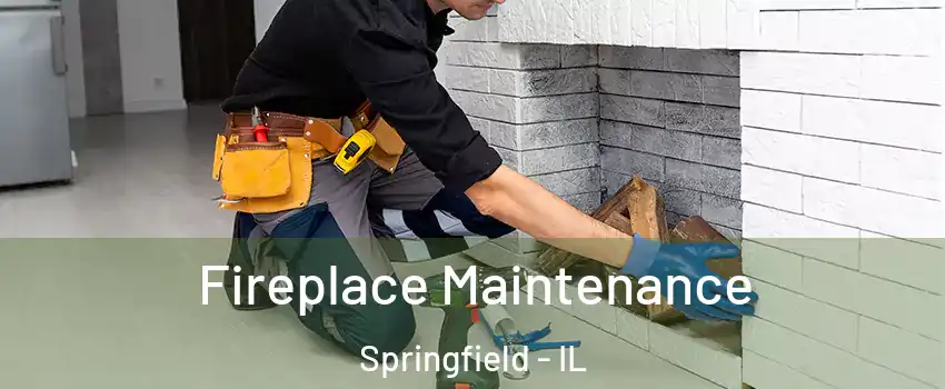  Fireplace Maintenance Springfield - IL