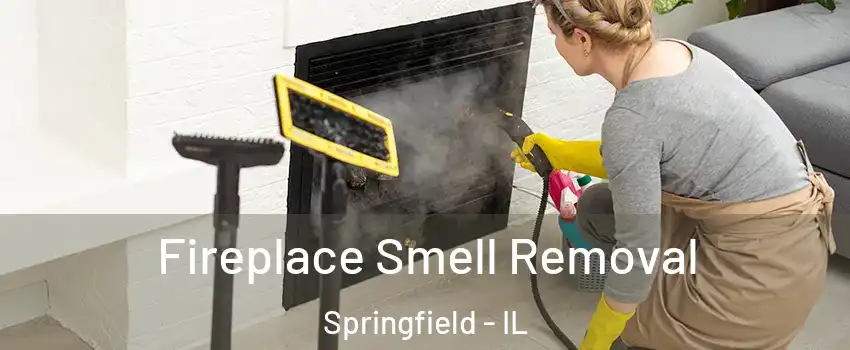  Fireplace Smell Removal Springfield - IL