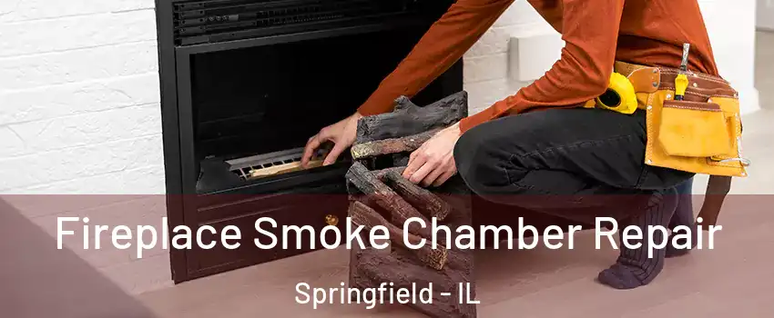  Fireplace Smoke Chamber Repair Springfield - IL