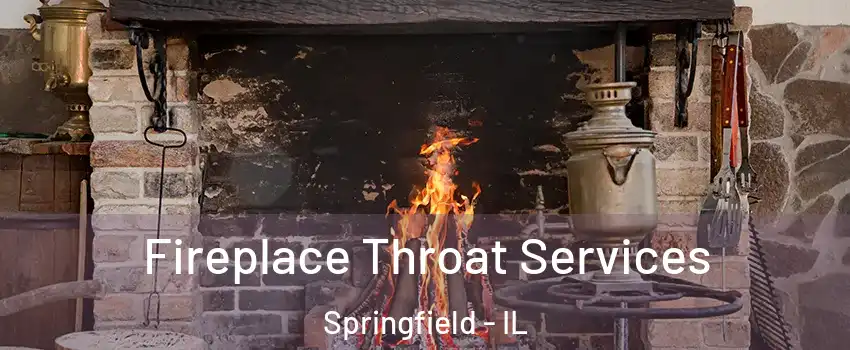  Fireplace Throat Services Springfield - IL