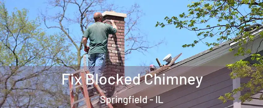  Fix Blocked Chimney Springfield - IL