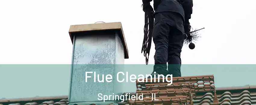  Flue Cleaning Springfield - IL