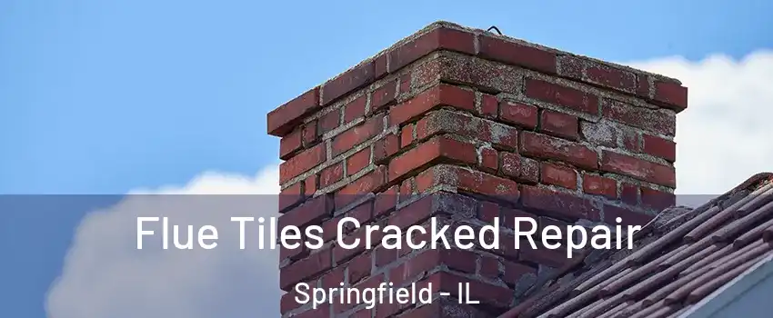  Flue Tiles Cracked Repair Springfield - IL