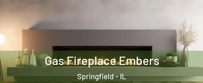  Gas Fireplace Embers Springfield - IL