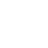 Professional Chimney Flue Installation in Springfield, Illinois