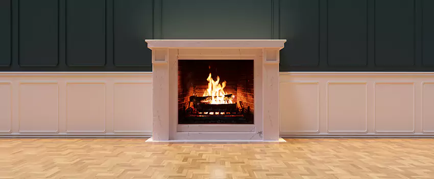 Napoleon Electric Fireplaces Inspection Service in Springfield, Illinois