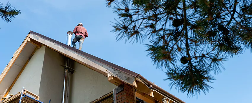 Birds Removal Contractors from Chimney in Springfield, IL