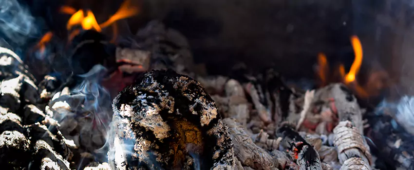 Creosote Removal Experts in Springfield, IL