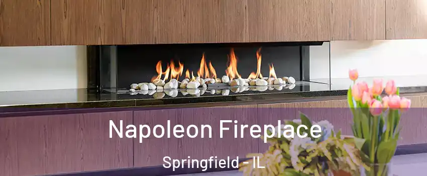  Napoleon Fireplace Springfield - IL